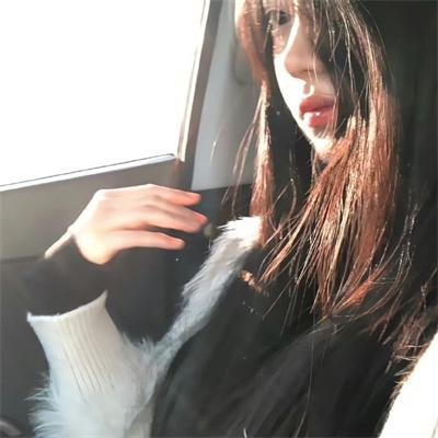 逆命貔貅它是只猫