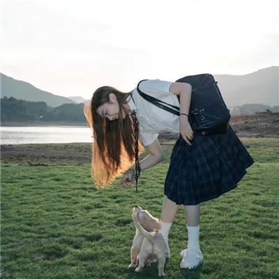 豺狼